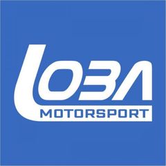 Σετ βαλβίδες εισαγωγής / εξαγωγής (24 τμχ) της Loba Motorsport για VAG V6 3.0 TFSi/ 3.2 FSi (7110300)