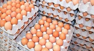 Πωλούνται χωριάτικα φρέσκα αυγα ελευθέρας βοσκης 