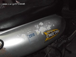 Cheetah 2009-thumb-3