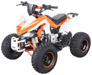 Μοτοσυκλέτα τετράτροχη-atv '23 ATV 125 SPEEDY RG8