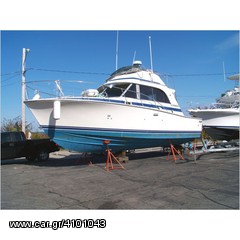 Bertram 1986 33 SPORT FISHING ΕΧΕΙ ΖΗΜΙΑ-thumb-2