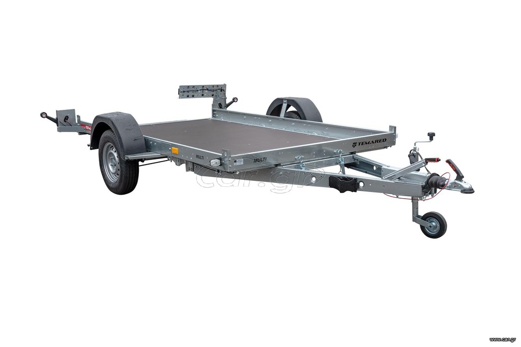 Tema 2024 MULTITRANSPORTER 3016 C