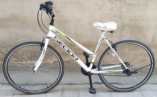 Mountain Sector 2021 Intro 28 Inch