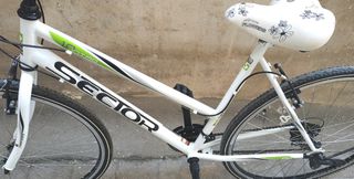 All - Mountain Sector 2021 Intro 28 Inch-thumb-2