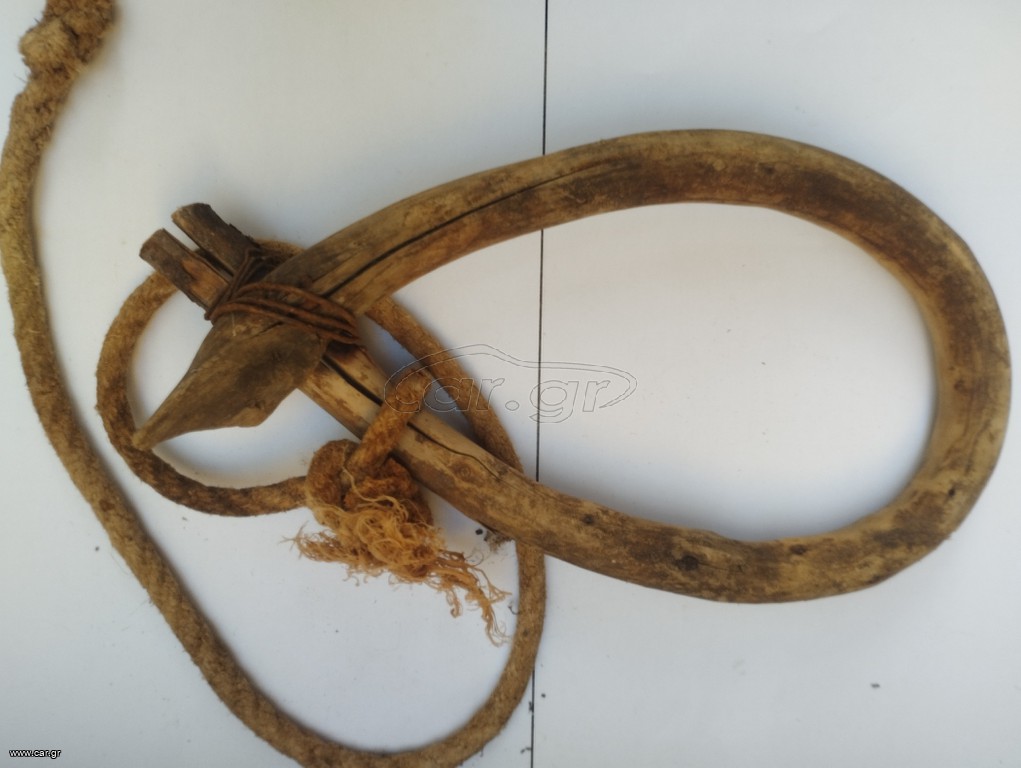Περιλαίμιο (Λαιμαρια) γαϊδουριού