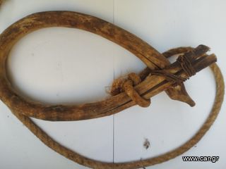 Περιλαίμιο (Λαιμαρια) γαϊδουριού-thumb-4