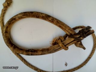 Περιλαίμιο (Λαιμαρια) γαϊδουριού-thumb-5