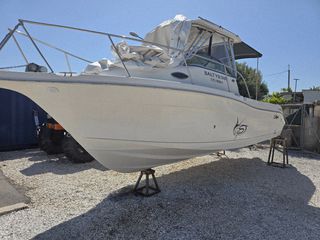 Striper 2009 Seaswirl 2605