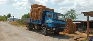 Ανατροπή Mercedes-Benz 1993 1314-1320 ανατροπη Δ Ι Α Β Α Σ Τ Ε