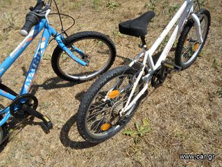 BMX Matrix 2023-thumb-1