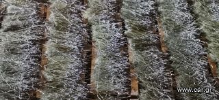 Αρωματικά φυτά καί βότανα  φασκόμηλο λεβάντα ρίγανη