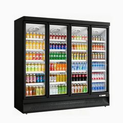 BLG LC 250 TN4 Inverter – Επαγγελματικό Ψυγείο Συντήρησης Plug In Άμεσα διαθέσιμο-thumb-12