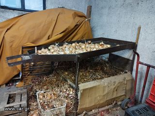 Γεωργικό 2010