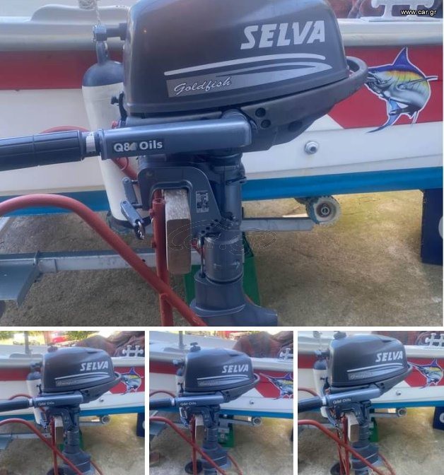 Selva 2015 GOLDFISH 4HP 4T
