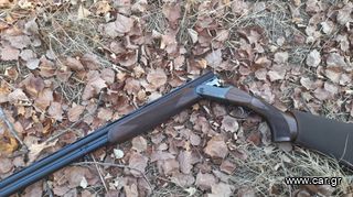 Blaser f16