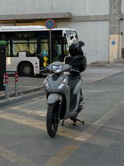 Honda NSC 110 2024-thumb-1