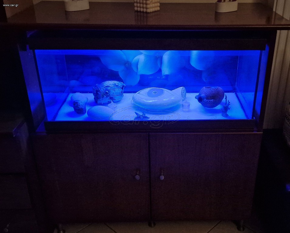 Ενυδρειο