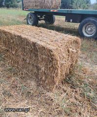 Πρέσες Hesston 1995 4700 4σχοινη FIATAGRI-thumb-11