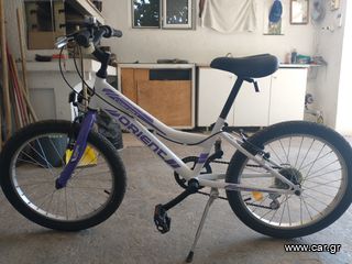 All - Mountain Orient 2022 COMFORT