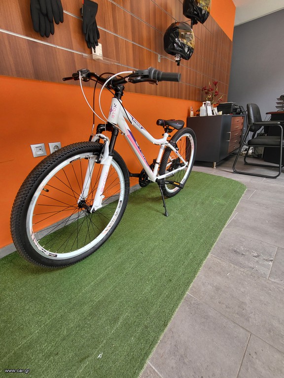 All - Mountain Byox 2024