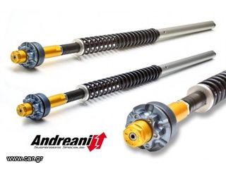 Andreani cartridge kit για Ducati Diavel 1200 "2011-14"