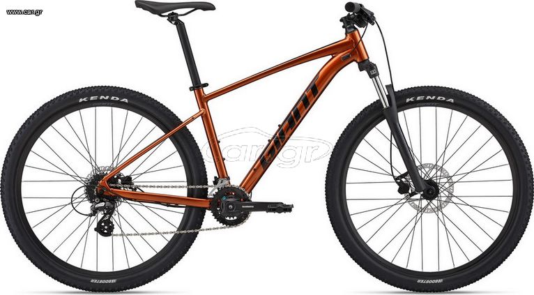 Mountain Giant 2022 TALON 3