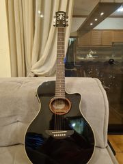 Yamaha ApX5A