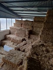 Πωλούνται άχυρα-thumb-3