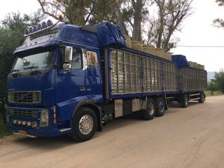 Ανατροπή Volvo 2005 FH12 460