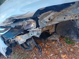 Citroen C-Elysee 2017 Citroen C-Elysée 1.6 VTi Shine-thumb-7