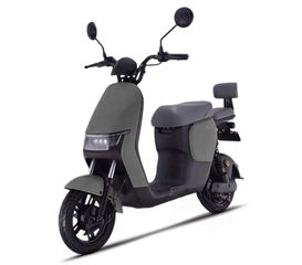 Daytona Elektra 50 2024 Saige 50-thumb-4