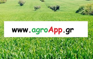 Πώληση κατοχυρωμένου domain name:  www.agroApp.gr