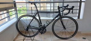 Storck '04 Vision Light