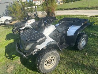 Linhai ATV 300 2010 2010-thumb-4