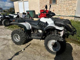 Linhai ATV 300 2010 2010-thumb-1
