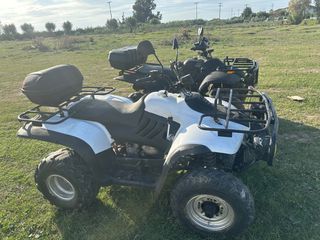 Linhai ATV 300 2010 2010-thumb-7