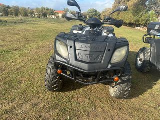 Linhai ATV 300 2010 2010-thumb-16