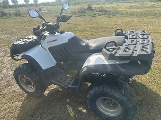 Linhai ATV 300 2010 2010-thumb-5