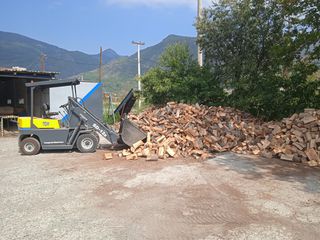 Φορτωτάκι 1999 TCM sd12z-thumb-1