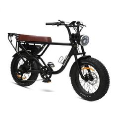 Bicycle electric bicycles '24 Gruberg