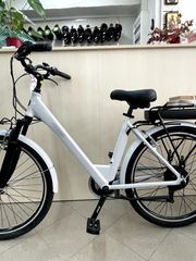 Πόλης Alpina 2026 A4 Evol 26"-thumb-8