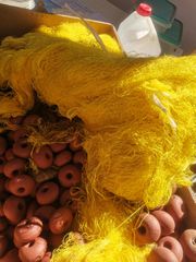 Fishing/Snorkeling 2023