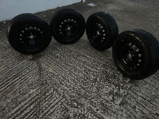 Ζαντολάστιχα