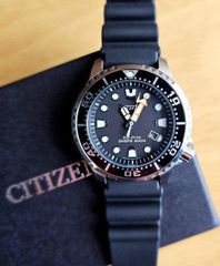 Citizen Promaster Diver BN0150-10