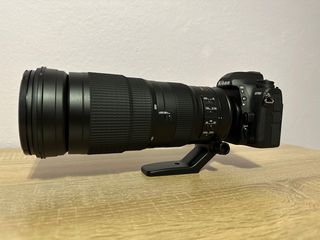 Nikon D780 + AF-S Nikkor 200-500mm f/5.6E ED VR