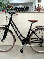 Πόλης Alpina 2026 Viva susp Alu 28'' 7sp-thumb-3