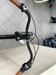 Πόλης Alpina 2026 Viva susp Alu 28'' 7sp-thumb-6