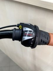 Πόλης Alpina 2026 Viva susp Alu 28'' 7sp-thumb-7