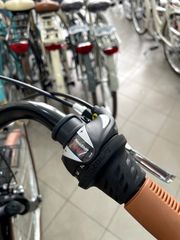 Πόλης Alpina 2026 Viva susp Alu 28'' 7sp-thumb-12