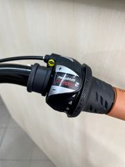 Πόλης Alpina 2026 Viva susp Alu 28'' 7sp-thumb-19